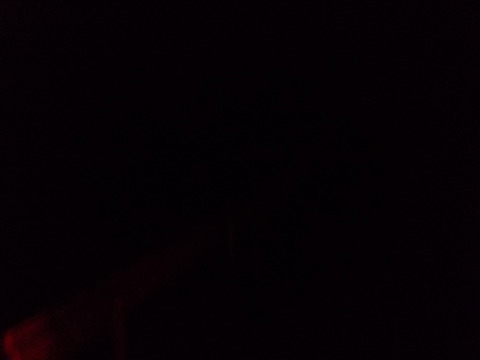 DSCN0876