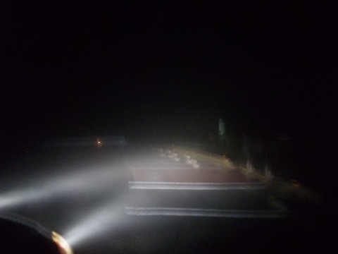 DSCN0879
