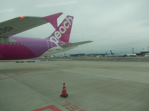 DSCN0794