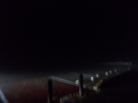 DSCN0884