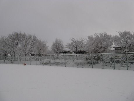 IMG_3966s-