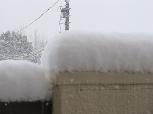 IMG_3995s-
