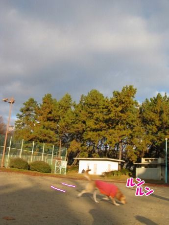 ゆめs-