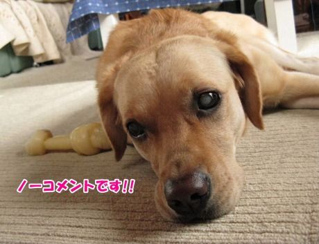 夢ちゃんs-