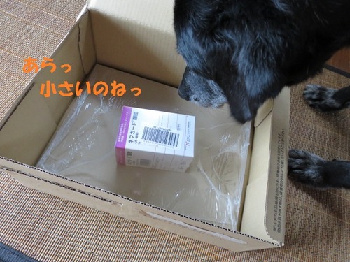 がじ