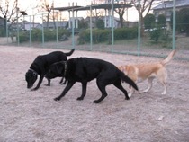 IMG_3912s-
