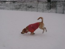 IMG_3961s-