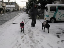 IMG_3663s-