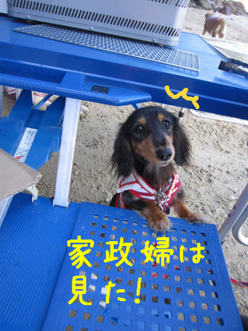 BlogPaint