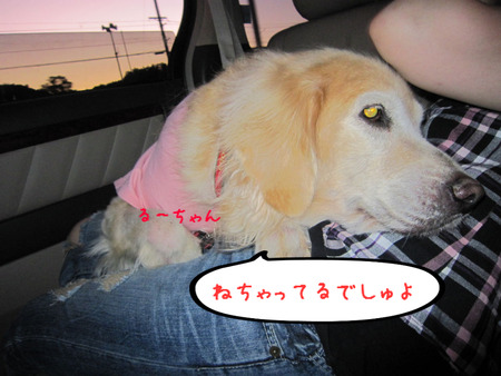BlogPaint