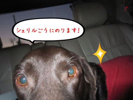 BlogPaint