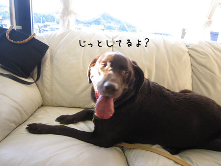BlogPaint