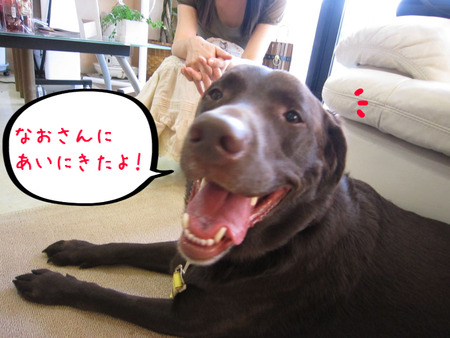 BlogPaint