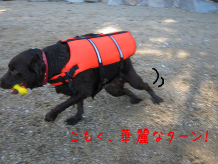 BlogPaint