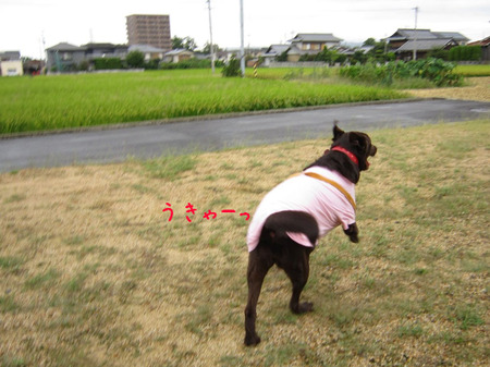BlogPaint