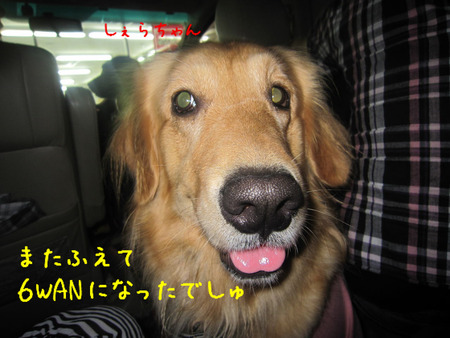BlogPaint
