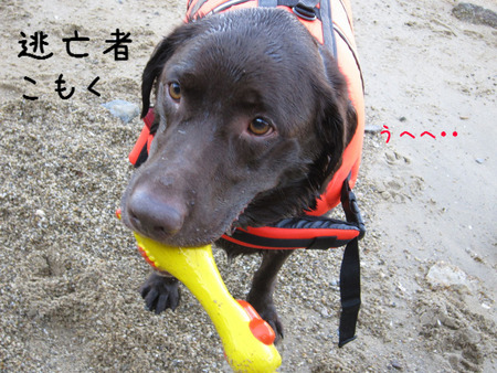 BlogPaint