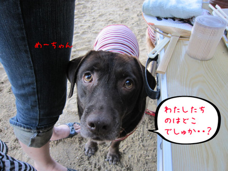 BlogPaint