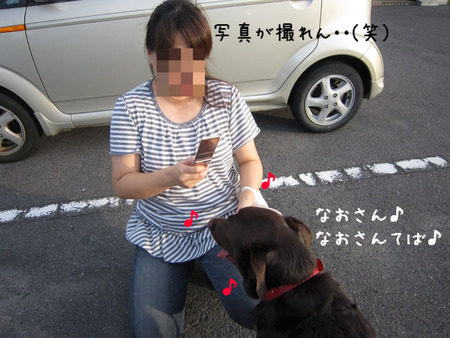 BlogPaint