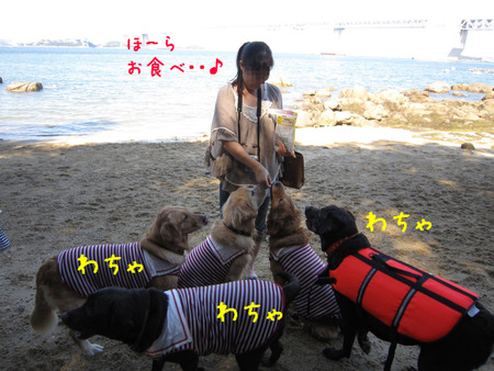 BlogPaint