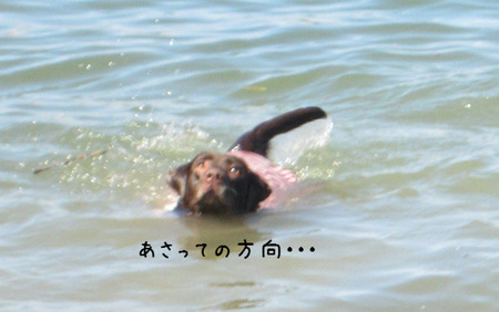 BlogPaint
