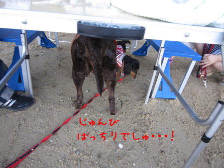 BlogPaint