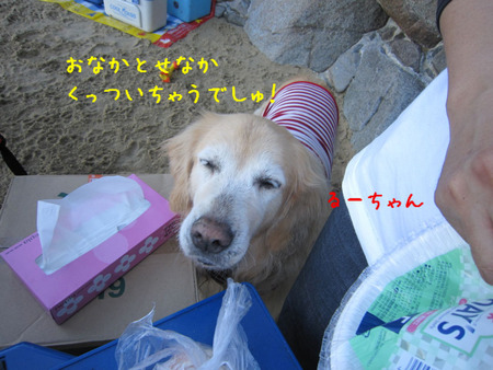 BlogPaint