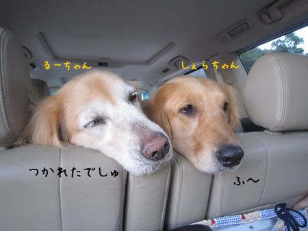 BlogPaint
