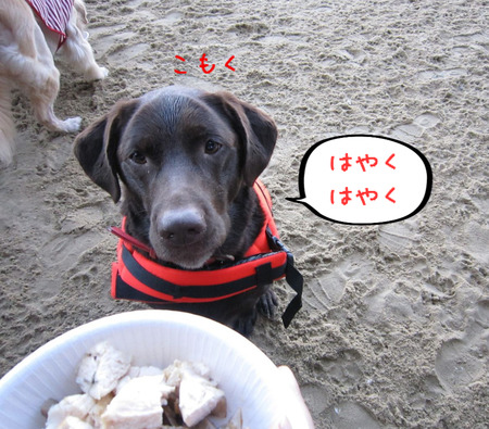 BlogPaint
