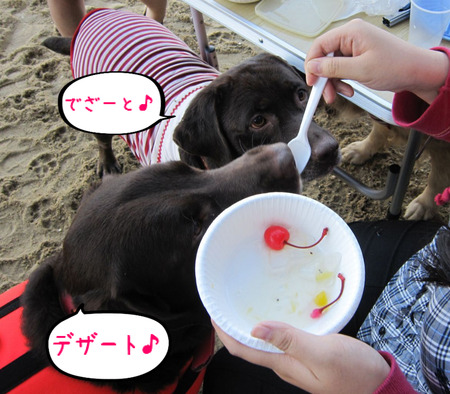 BlogPaint