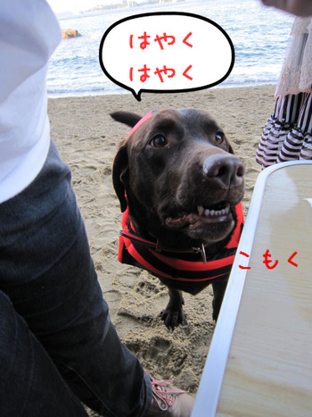 BlogPaint