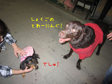 BlogPaint