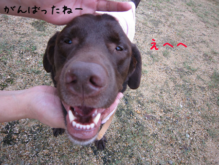 BlogPaint