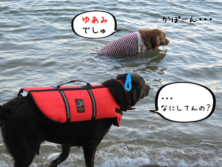 BlogPaint