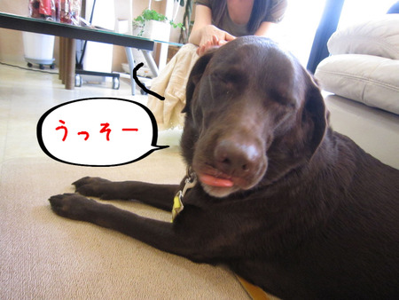 BlogPaint