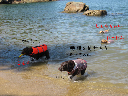 BlogPaint