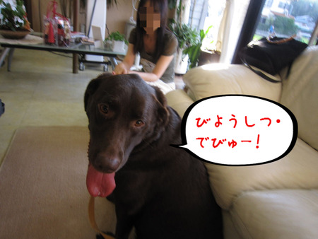 BlogPaint