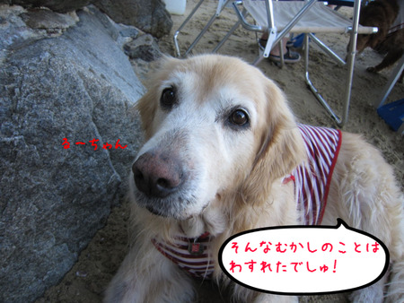 BlogPaint