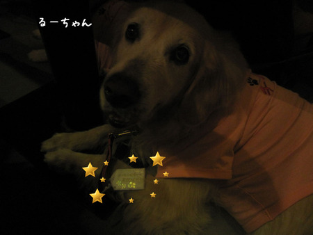 BlogPaint