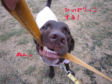 BlogPaint