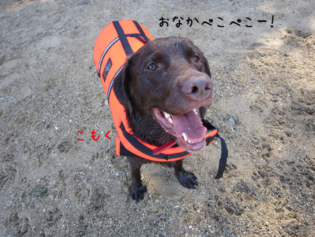 BlogPaint