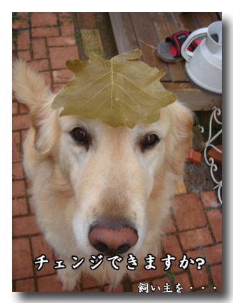 ¥Á¥§¥ó¥¸.jpg