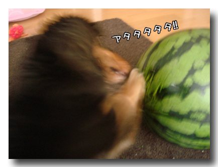 ¢¥¢¥¿¥¿.jpg