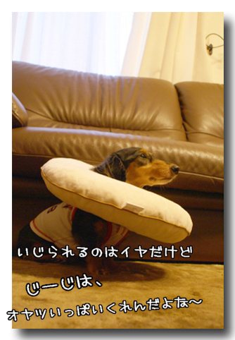 ¤Î¤¨¤¸¤¤.jpg
