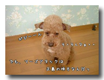 ¾®¤µ¤Ê´õ˾¤Î¥³¥Ô¡¼.jpg