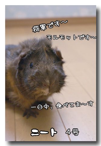 ¾·³.jpg