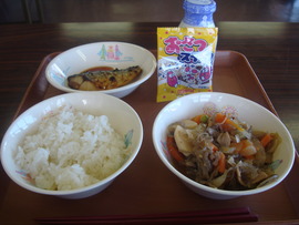 DSC06205