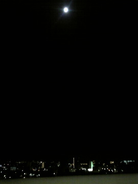 8f73655f.jpg