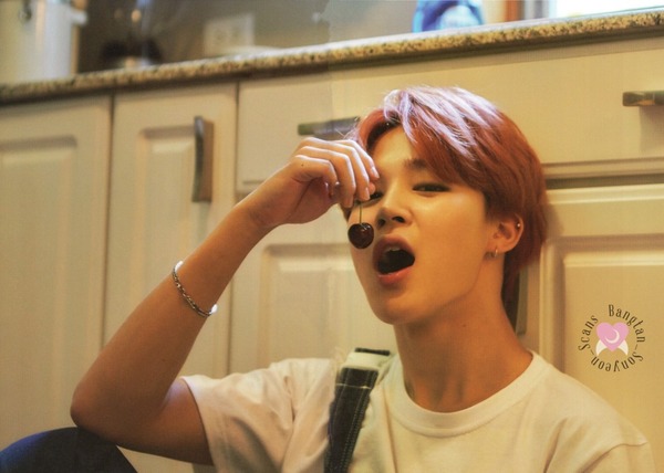 jimin81