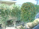 DSC00066
